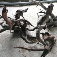 Rami e Rocce per Acquario dolce