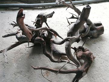 Rami e Rocce per Acquario dolce