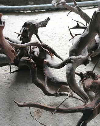 Rami e Rocce per Acquario dolce