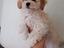 Immagine 5