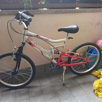 bicicletta girardengo