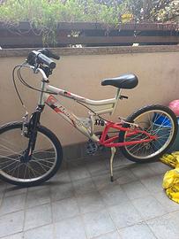 bicicletta girardengo