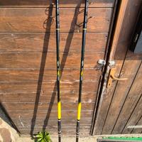 coppia canna ancipenser + beastmaster 14000 xc