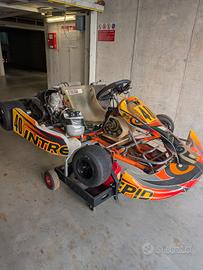 kart intrepid 100cc