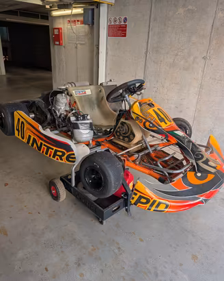 kart intrepid 100cc
