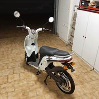 Bici elettrica scooter