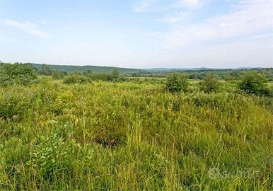 Terreno Agricolo a Pavullo nel Frignano