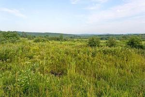 Terreno Agricolo a Pavullo nel Frignano
