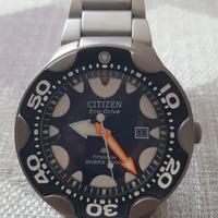 citizen Orca