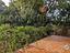 Immagine 22