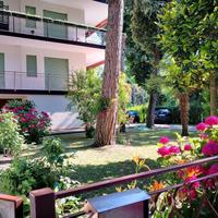 Milano Marittima (Ra) bilocale sulla pineta