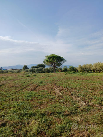 Terreno agricolo Campagna