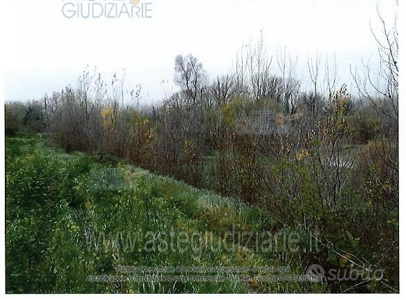 Terreno Agricolo Orte [A4337772] - Vista 5