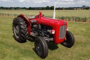 Trattore Agricolo Massey Ferguson 