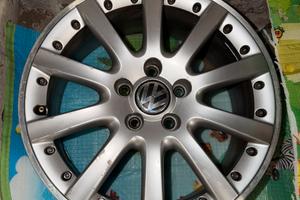 Cherchi 17”