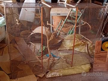 Gabbia / voliera
