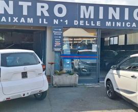 Aixam Miniauto Minauto Access