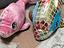 Immagine 4