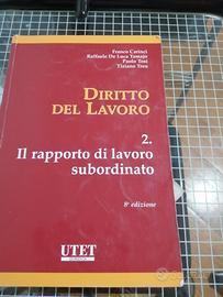 Diritto del Lavoro. 2)Il rapporto di lavoro subord