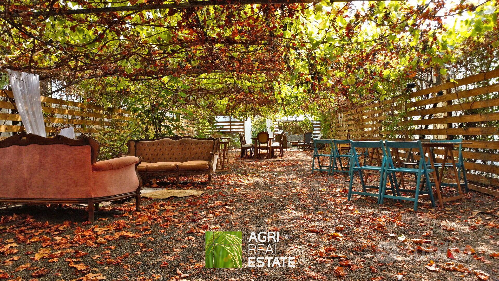Proprietà agricola di 7,5 HA con Location Eventi - Vista 5