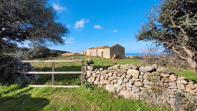 Rustico con terreno - Da ristrutturare