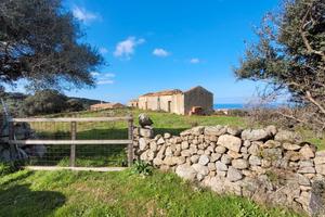 Rustico con terreno - Da ristrutturare