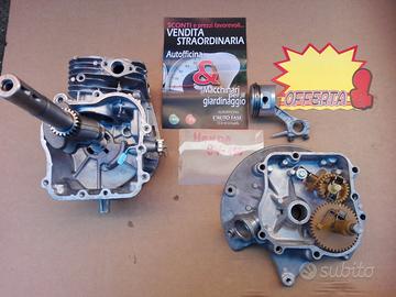 ( RICAMBI ) Per Motore Rasa erba )