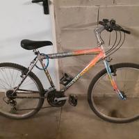 BICICLETTA DONNA MOUNTAN BIKE