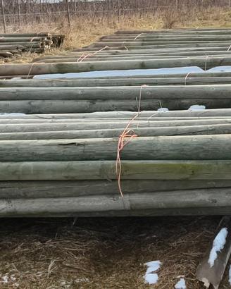 Pali in legno