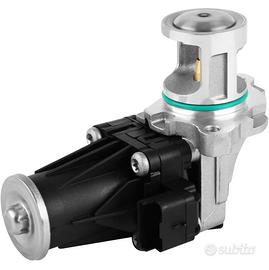 Valvola EGR