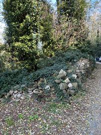 Pietra da costruzione antiche