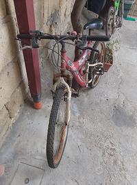 bici Mountain bike