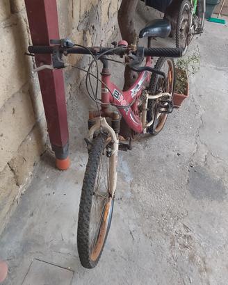 bici Mountain bike