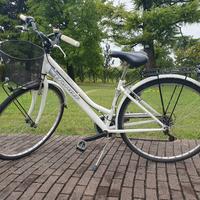 Bici donna con cestino