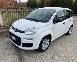 FIAT Panda 1.2 benzina 3ª serie 2017 Neopatentati