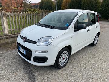 FIAT Panda 1.2 benzina 3ª serie 2017 Neopatentati