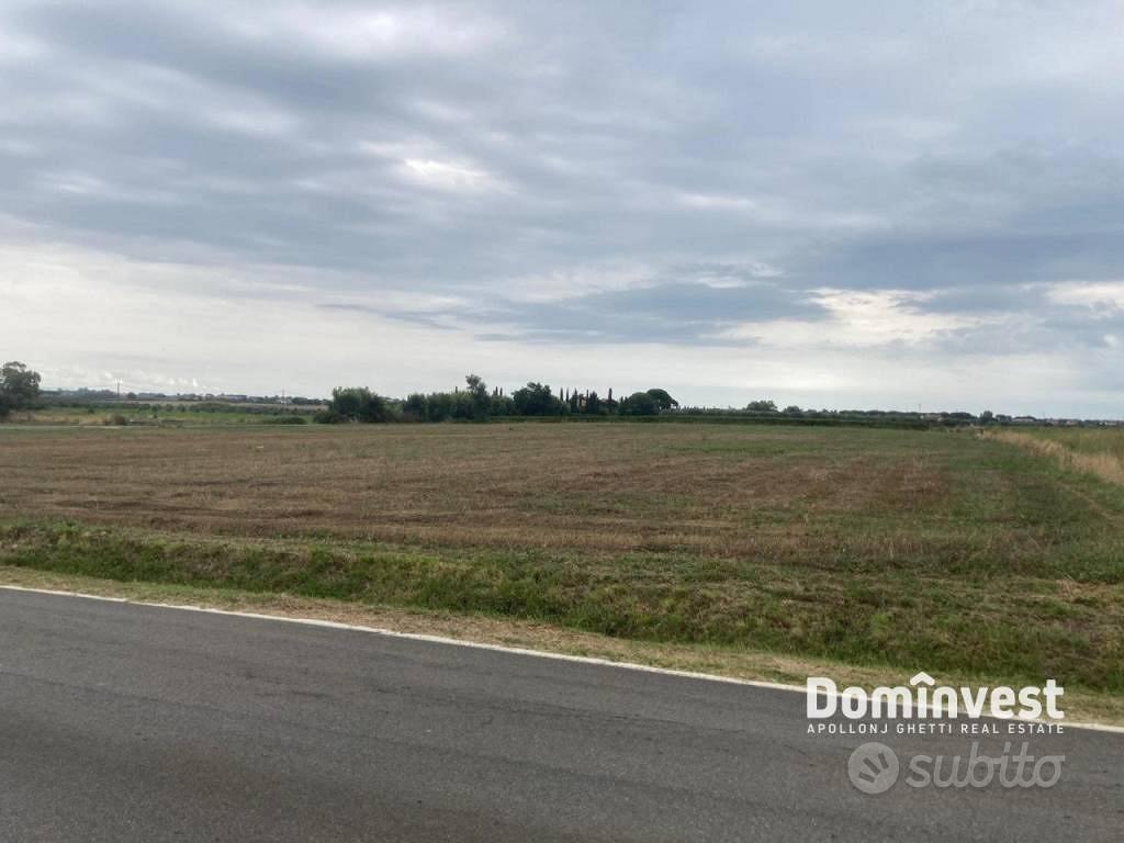 Terreno di 46000 m² a Capalbio - Vista 5