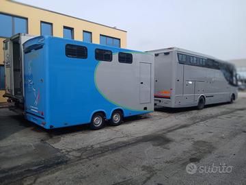 Man 10 cavalli e biga 4 cavalli
