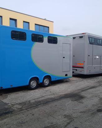 Man 10 cavalli e biga 4 cavalli