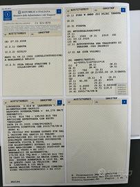 Musa grigia- 2010’