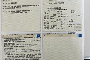 Musa grigia- 2010’