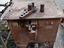 Immagine 1