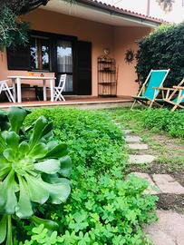 Ampio trilocale e non solo