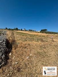 Terreno edificabile a Buseto Palizzolo