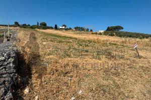 Terreno edificabile a Buseto Palizzolo