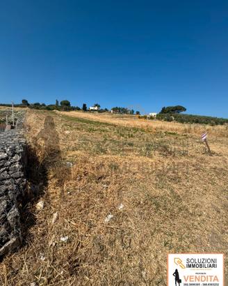 Terreno edificabile a Buseto Palizzolo