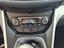 Immagine 11