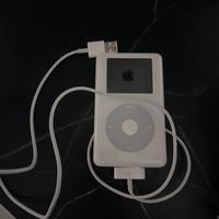 Apple iPod A1059 20 GB 4a generazione e radio AEG