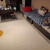 tappeto moderno 280x200