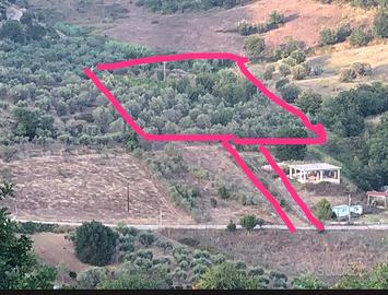 Terreno agricolo